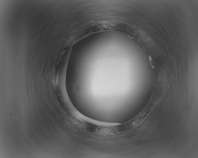 X0000083990129200702232121