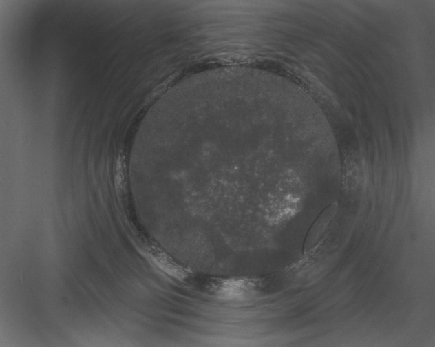 X0000083990130200702232121