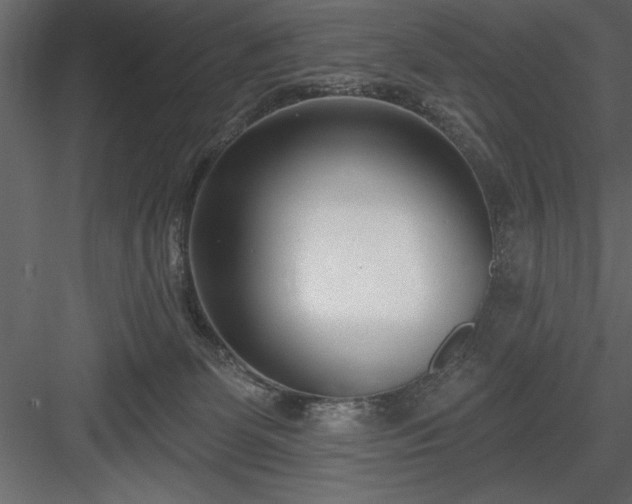 X0000083990131200702232121