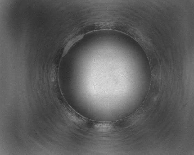 X0000083990133200702232121