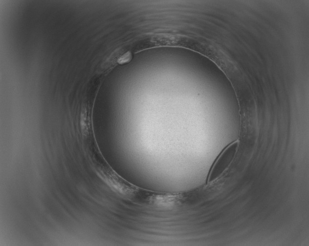 X0000083990134200702232121