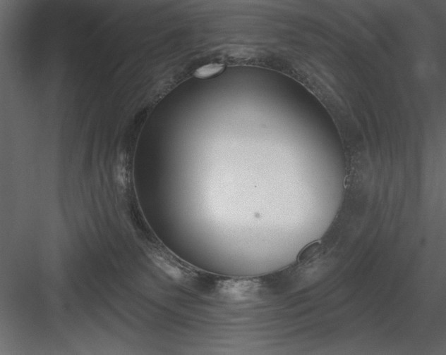 X0000083990135200702232121