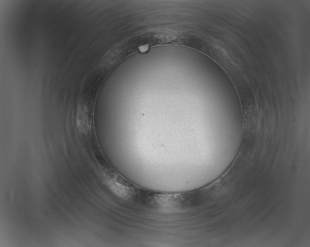 X0000083990136200702232121