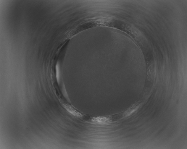 X0000083990137200702232121