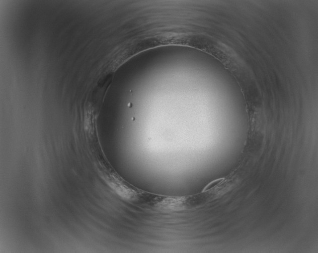 X0000083990138200702232121