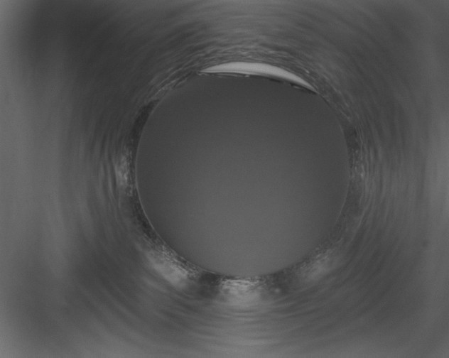 X0000083990139200702232121