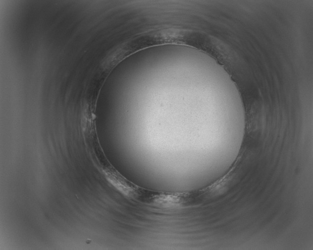 X0000083990140200702232121