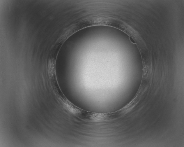 X0000083990142200702232121