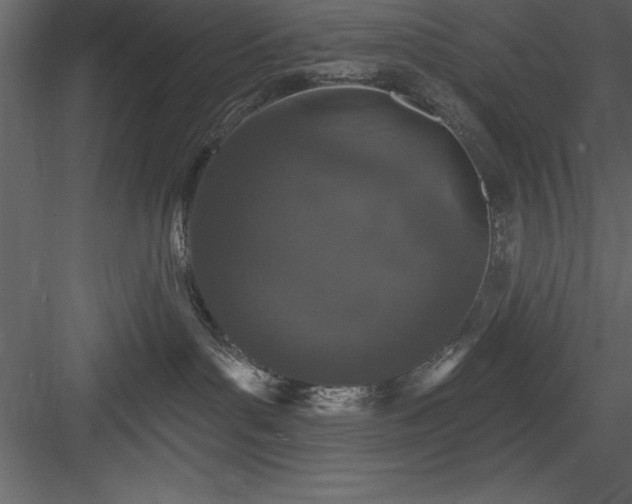 X0000083990143200702232121