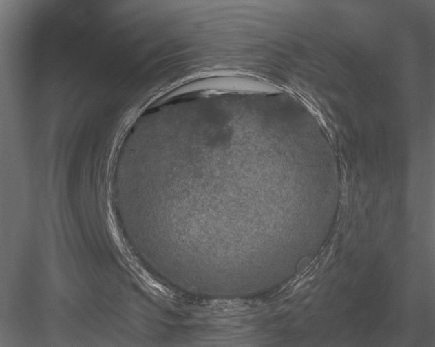 X0000083990145200702232120