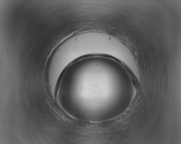 X0000083990146200702232120