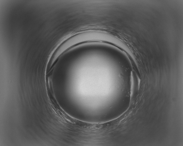 X0000083990148200702232120