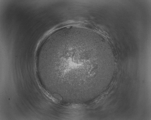 X0000083990149200702232120