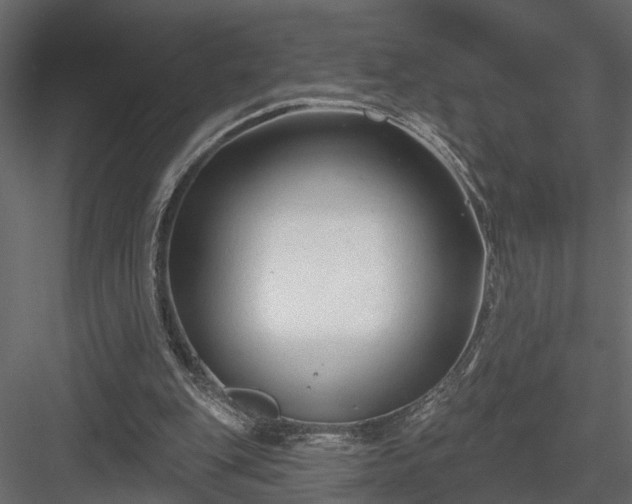 X0000083990151200702232120