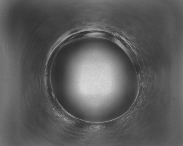 X0000083990152200702232120