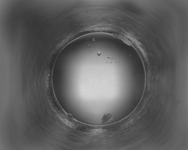 X0000083990153200702232120