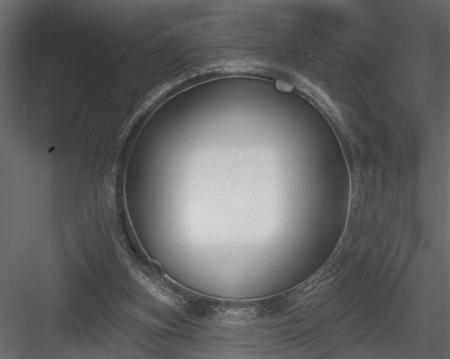 X0000083990155200702232120