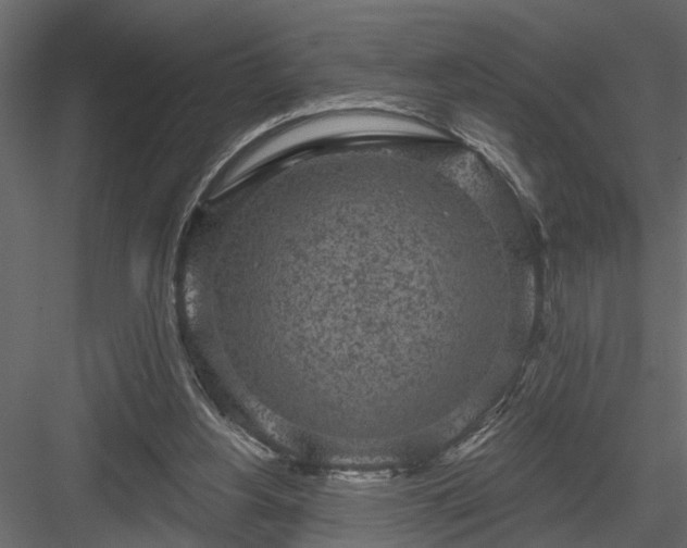 X0000083990156200702232120