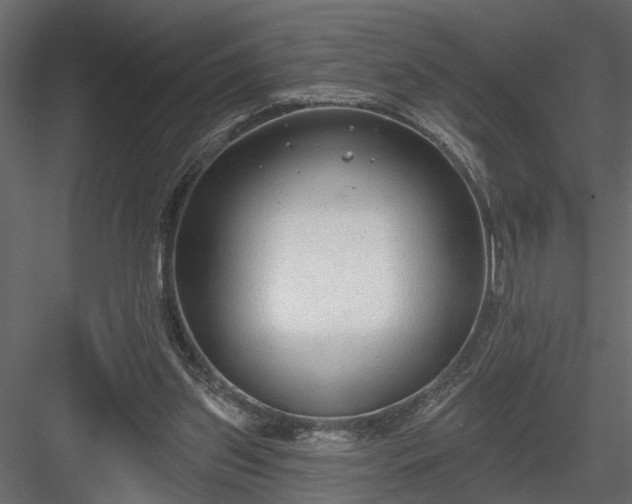 X0000083990157200702232120