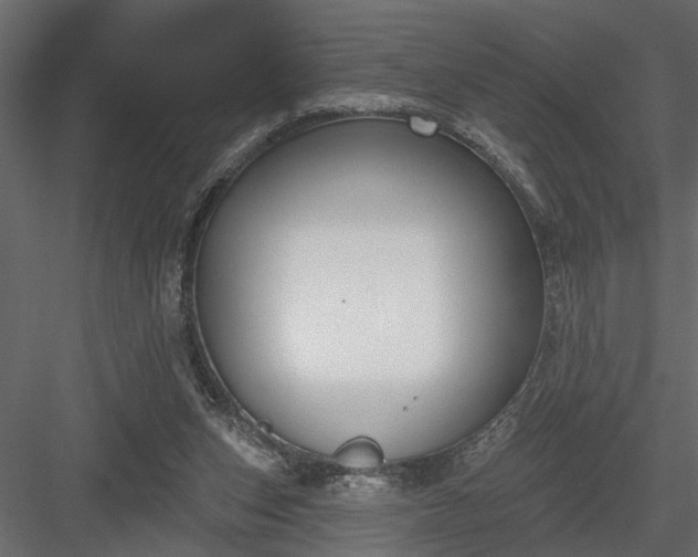 X0000083990159200702232120