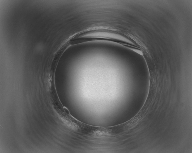 X0000083990160200702232120