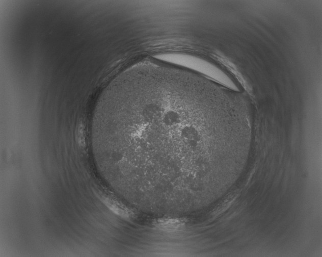 X0000083990161200702232120