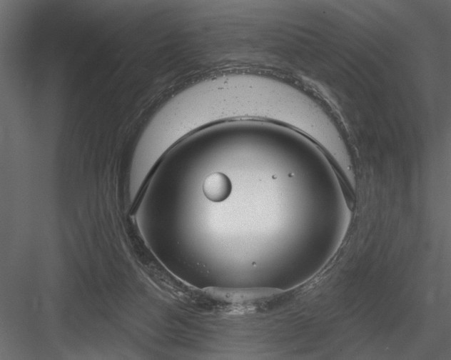 X0000083990162200702232120