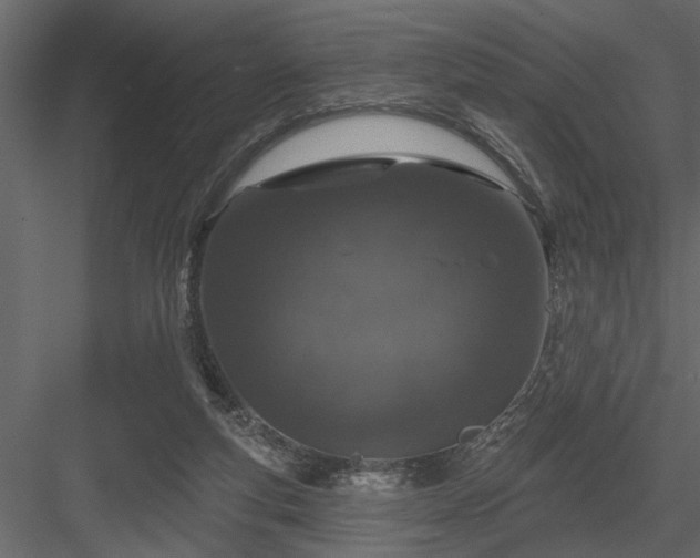 X0000083990163200702232120