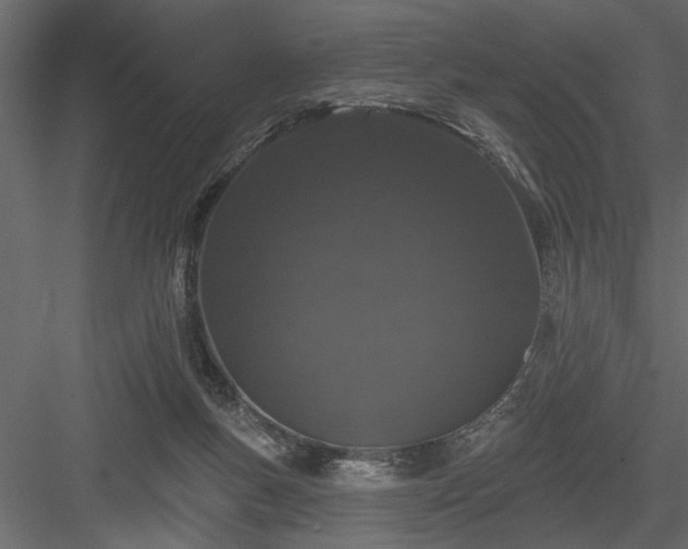 X0000083990167200702232120