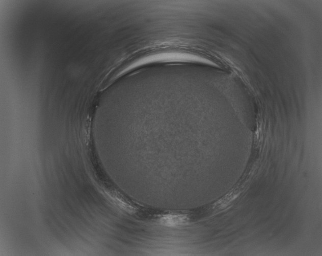 X0000083990168200702232120