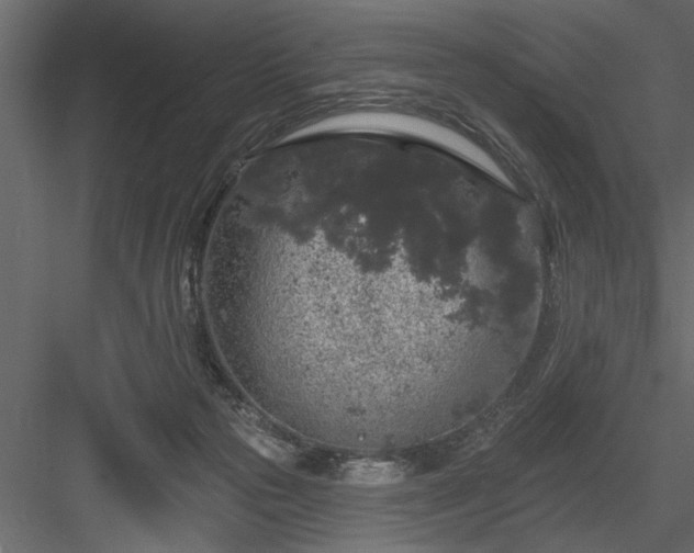 X0000083990169200702232120