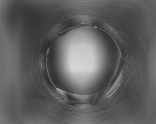 X0000083990170200702232120