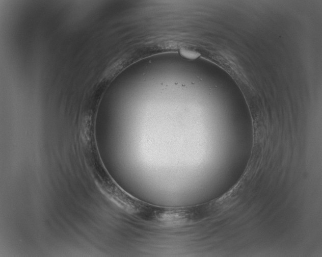 X0000083990171200702232120