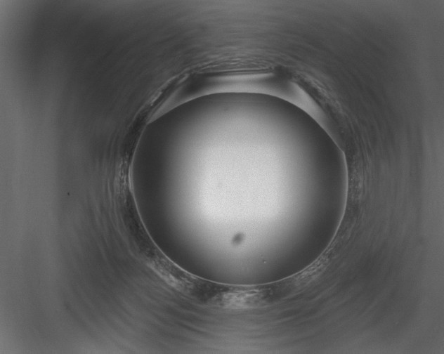 X0000083990172200702232120