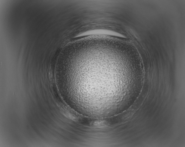 X0000083990173200702232121