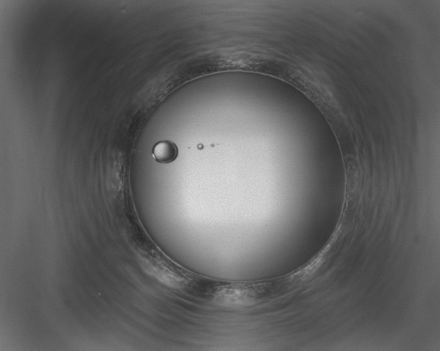 X0000083990174200702232121