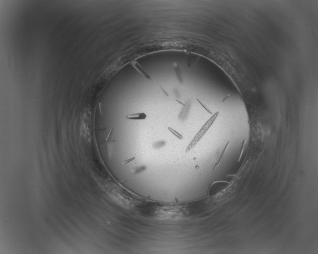X0000083990175200702232121