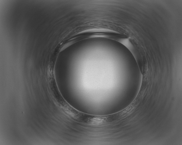 X0000083990176200702232121