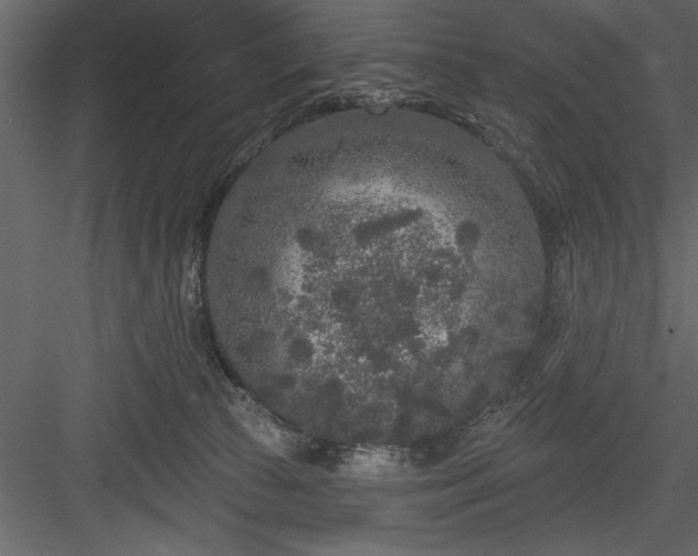 X0000083990177200702232121