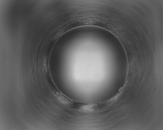 X0000083990178200702232121