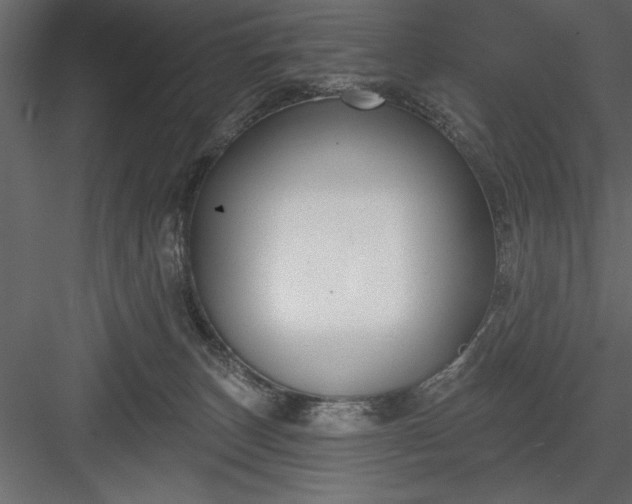 X0000083990179200702232121