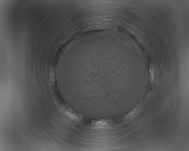 X0000083990180200702232121