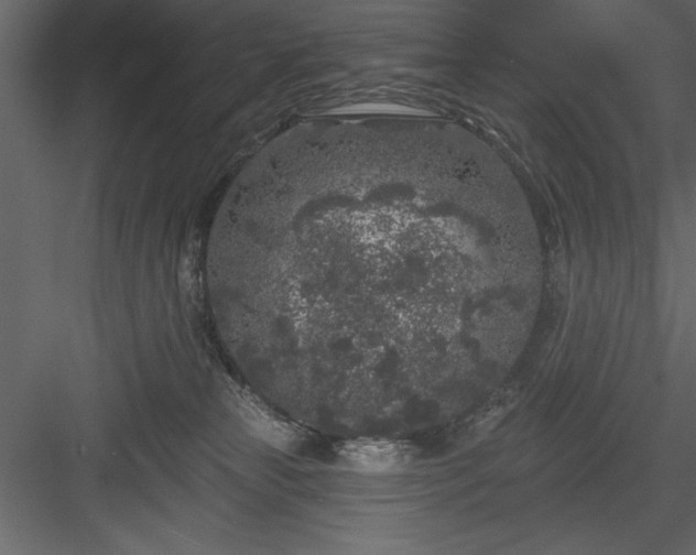 X0000083990181200702232121