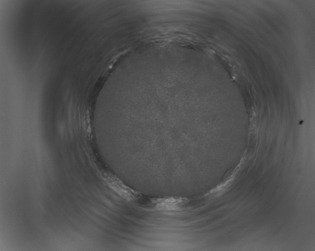 X0000083990182200702232121