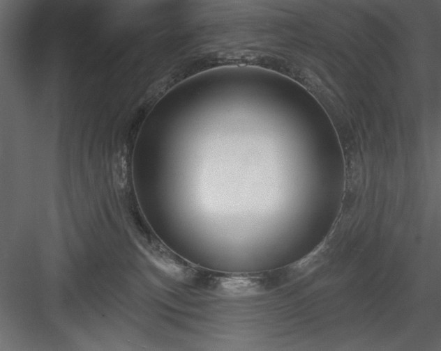 X0000083990183200702232121