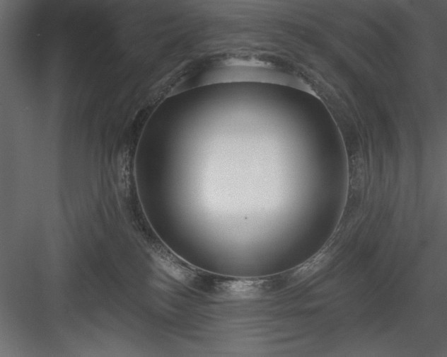 X0000083990184200702232121