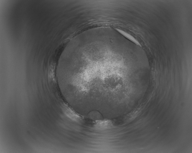 X0000083990185200702232121