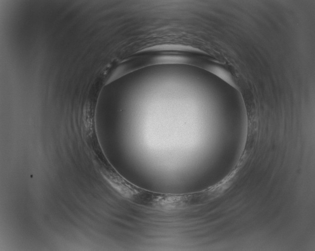 X0000083990186200702232121