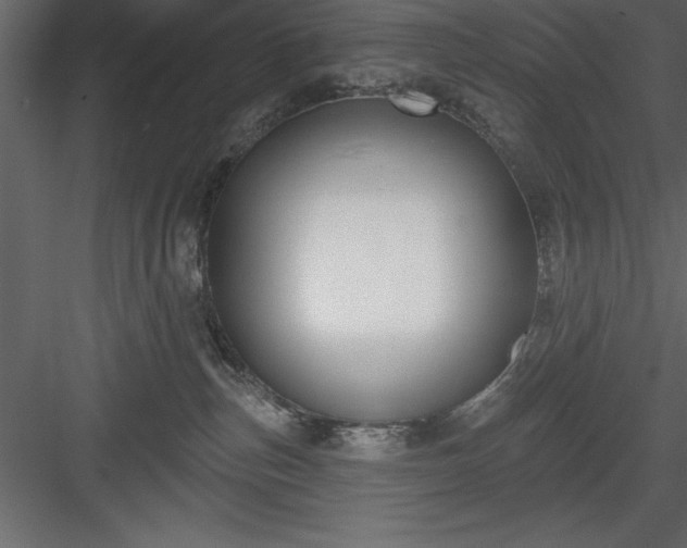 X0000083990187200702232121