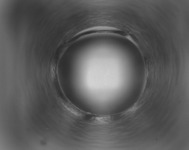 X0000083990188200702232121